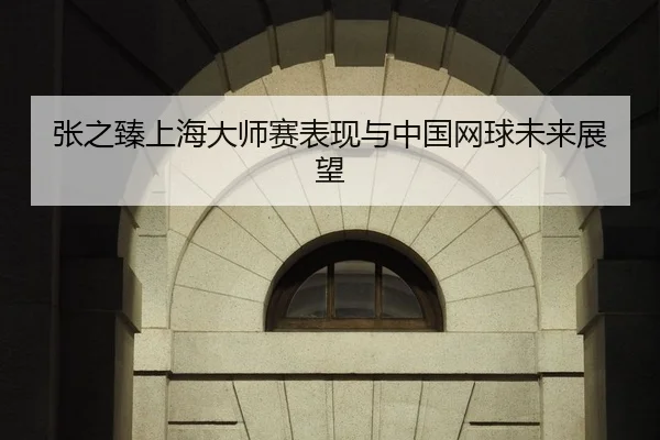 张之臻上海大师赛表现与中国网球未来展望